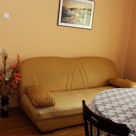 Guesthouse Planinsko Gnezdo Tŭzha Extérieur photo