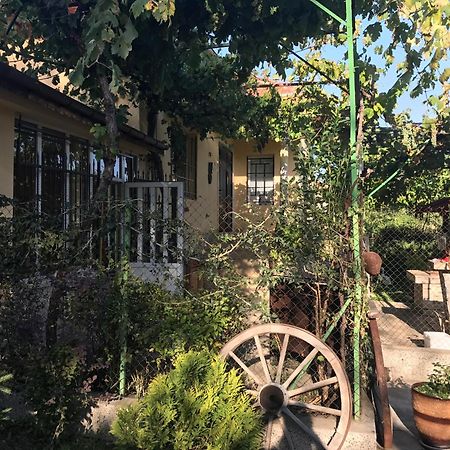 Guesthouse Planinsko Gnezdo Tŭzha Extérieur photo