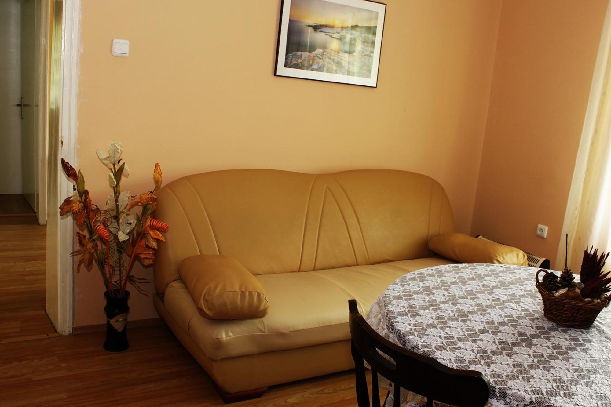 Guesthouse Planinsko Gnezdo Tŭzha Extérieur photo