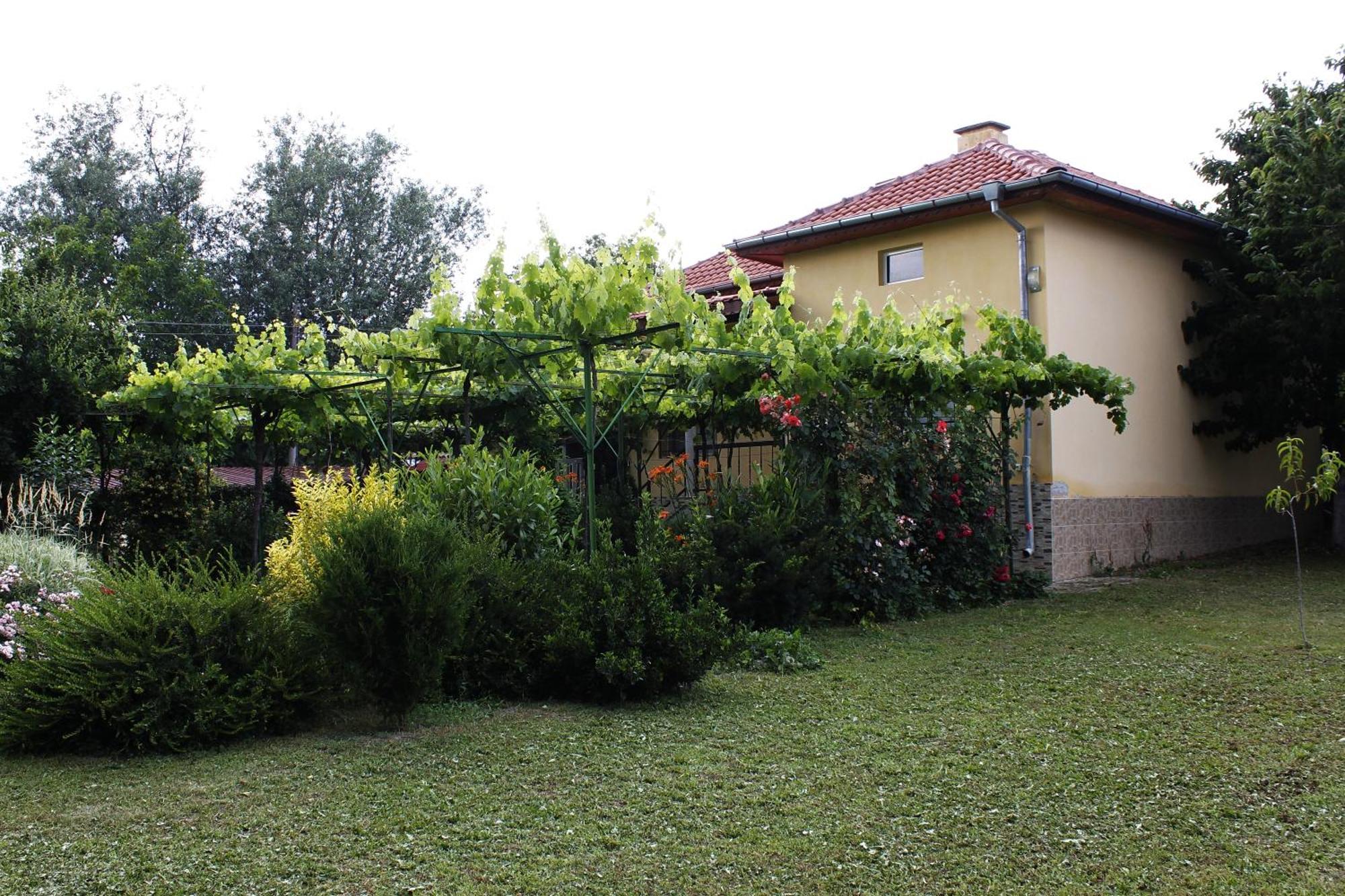 Guesthouse Planinsko Gnezdo Tŭzha Extérieur photo