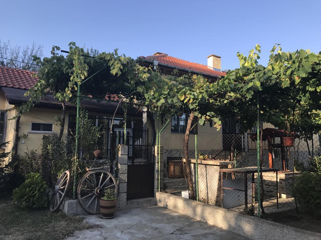 Guesthouse Planinsko Gnezdo Tŭzha Extérieur photo