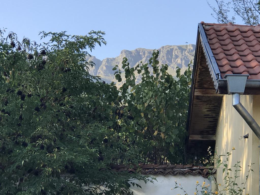 Guesthouse Planinsko Gnezdo Tŭzha Extérieur photo