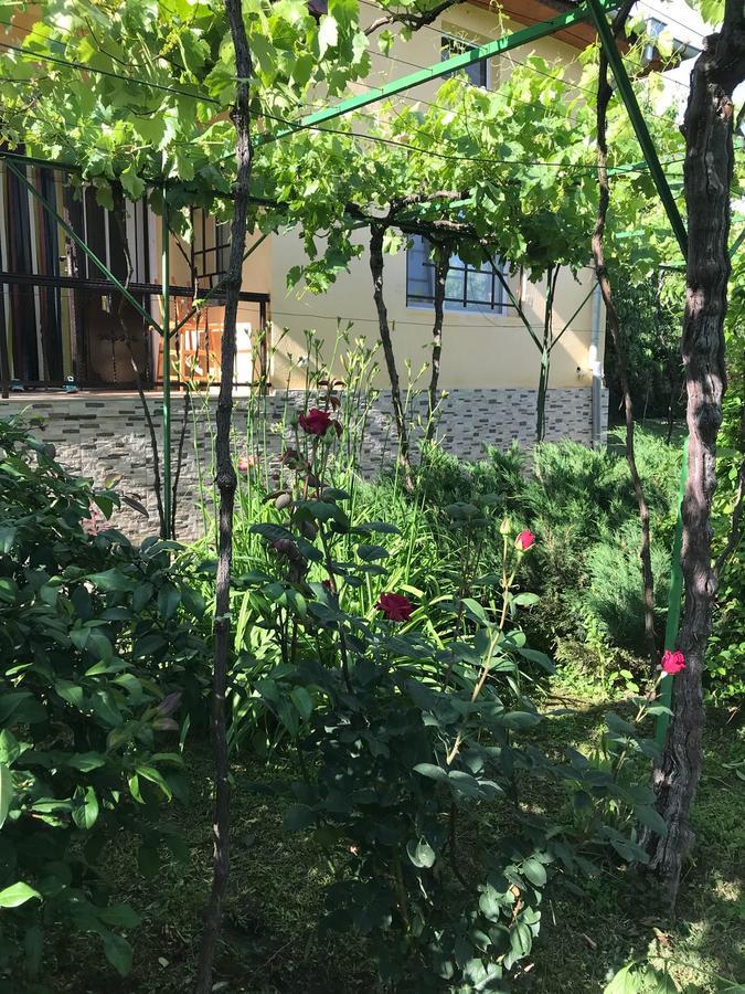 Guesthouse Planinsko Gnezdo Tŭzha Extérieur photo