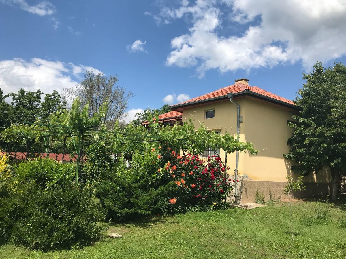 Guesthouse Planinsko Gnezdo Tŭzha Extérieur photo