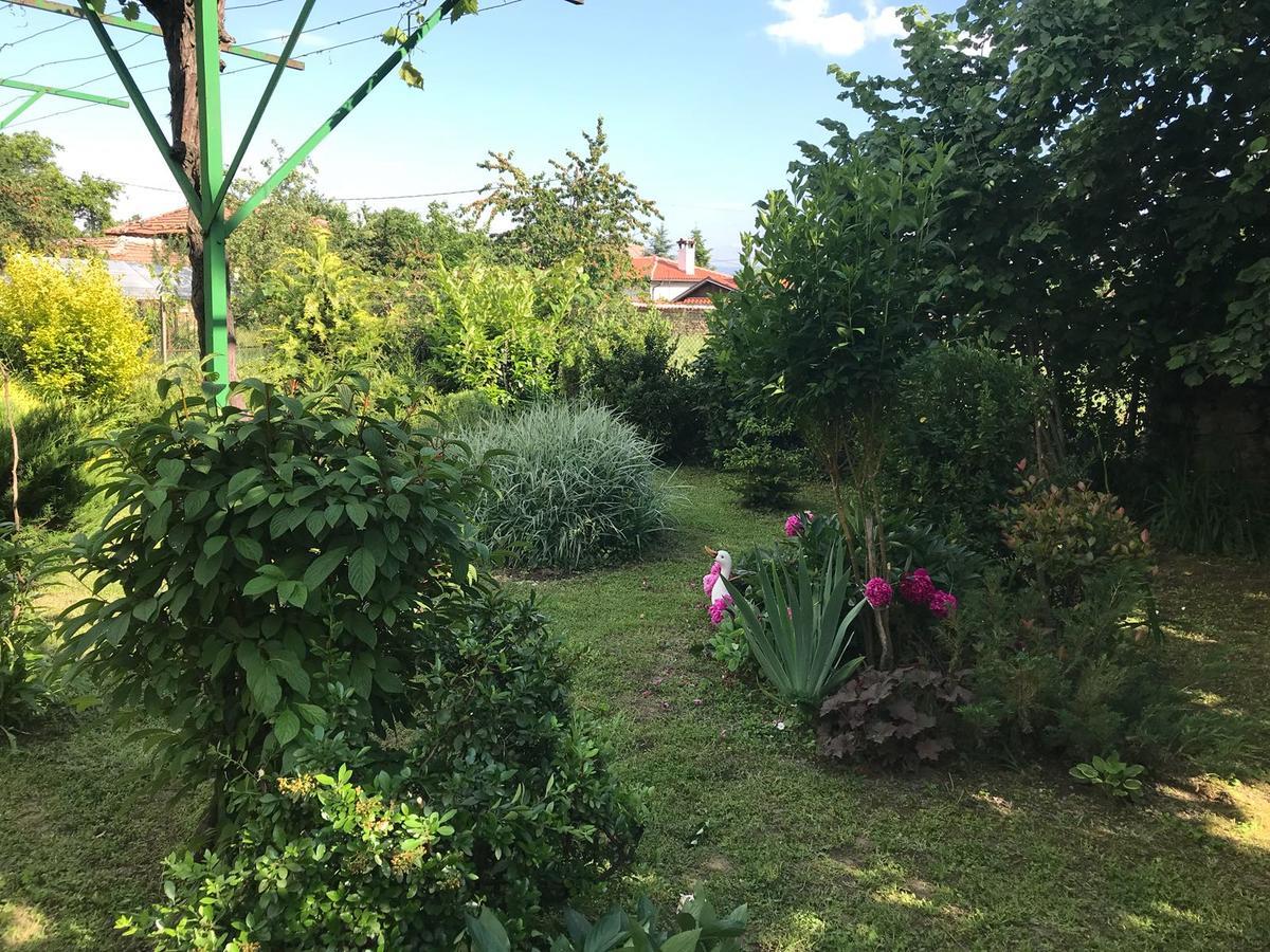Guesthouse Planinsko Gnezdo Tŭzha Extérieur photo